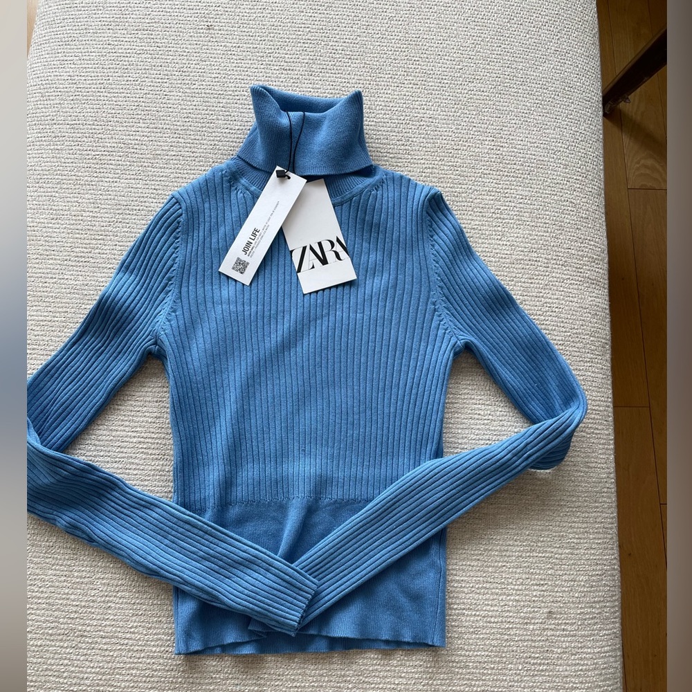 Zara cropped ribbed turtleneck